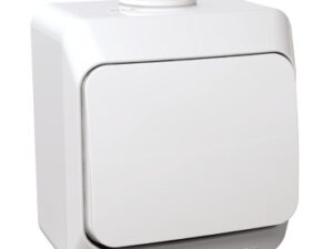 Ключ СХ.1 Schneider CEDAR PLUS ПКОМ бял IP44